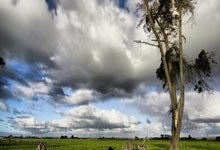 乐鱼体育官网网页版-英超暗战：法国帮逆转西班牙帮，积分榜上演权力游戏