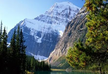 乐鱼体育-塔斯马尼亚联前锋线组合默契提升，世俱杯争冠利器