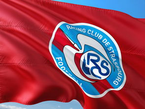 乐鱼体育线上网站-帕尔梅拉斯技战术演练密集，冲刺冠军全力以赴