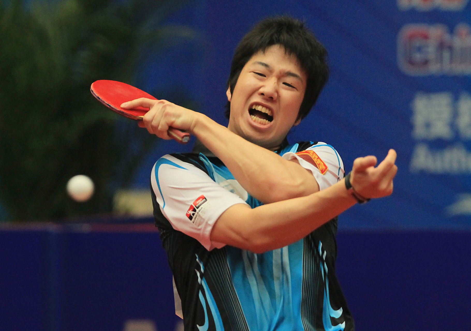 乐鱼体育登陆入口-波兰乒乓球队力克韩国乒乓球队，水谷隼高光表现